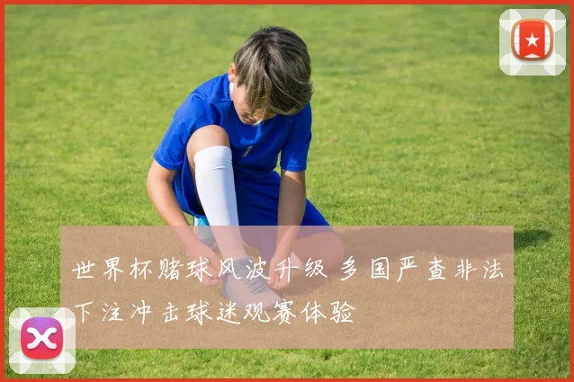 世界杯赌球风波升级 多国严查非法下注冲击球迷观赛体验