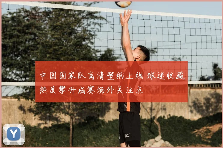 中国国家队高清壁纸上线 球迷收藏热度攀升成赛场外关注点