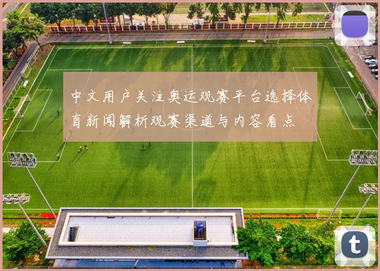 中文用户关注奥运观赛平台选择体育新闻解析观赛渠道与内容看点
